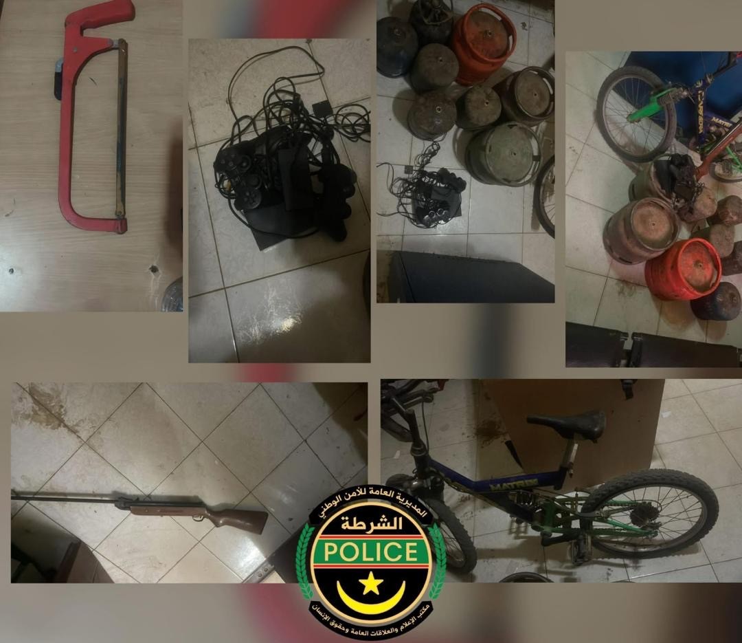 La police de Kaédi interpelle un gang spécialisé dans les vols en plein jour