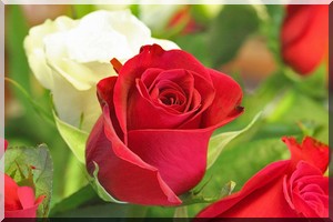 Aichetou Ahmedou : Illusions perdues ?