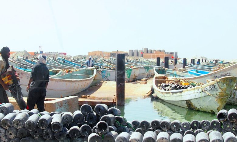 Reprise des activités de pêche artisanale : Haro sur le poulpe!