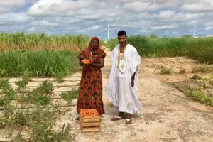 En Mauritanie, un maraîcher transforme le désert en jardin