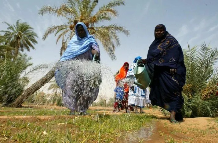 Brakna : distribution des 110 tonnes de semences pour appuyer les agriculteurs