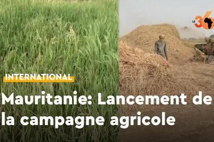 Vidéo. Mauritanie: le président Ghazouani lance officiellement la campagne agricole au Trarza