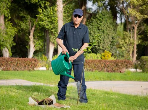  Dans le cadre de la célébration de la semaine nationale de l’arbre, le Président de la République plante des arbustes au palais présidentiel