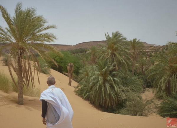 La Mauritanie obtient 30 millions de dollars pour lutter contre l’avancée des sables