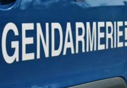 Rosso: La gendarmerie empêche l'exportation de 72 cartons de produits phytosanitaires et 23 t de riz en Mauritanie