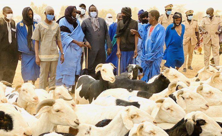 Mauritanie: un mouton entrée de gamme coûte 9.000 ouguiyas, «et c’est pas normal»