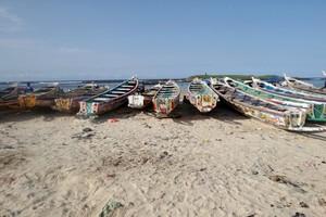 L'OIM sur les naufrages au large de la Mauritanie: 