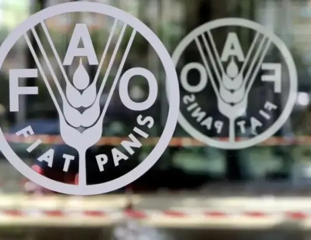 Nouakchott va accueillir la conférence régionale de la FAO en avril prochain 