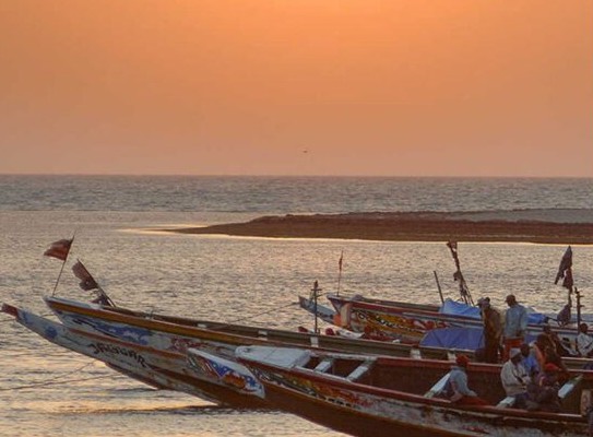 Mauritanie - L’OMVS se prépare pour le prochain hivernage