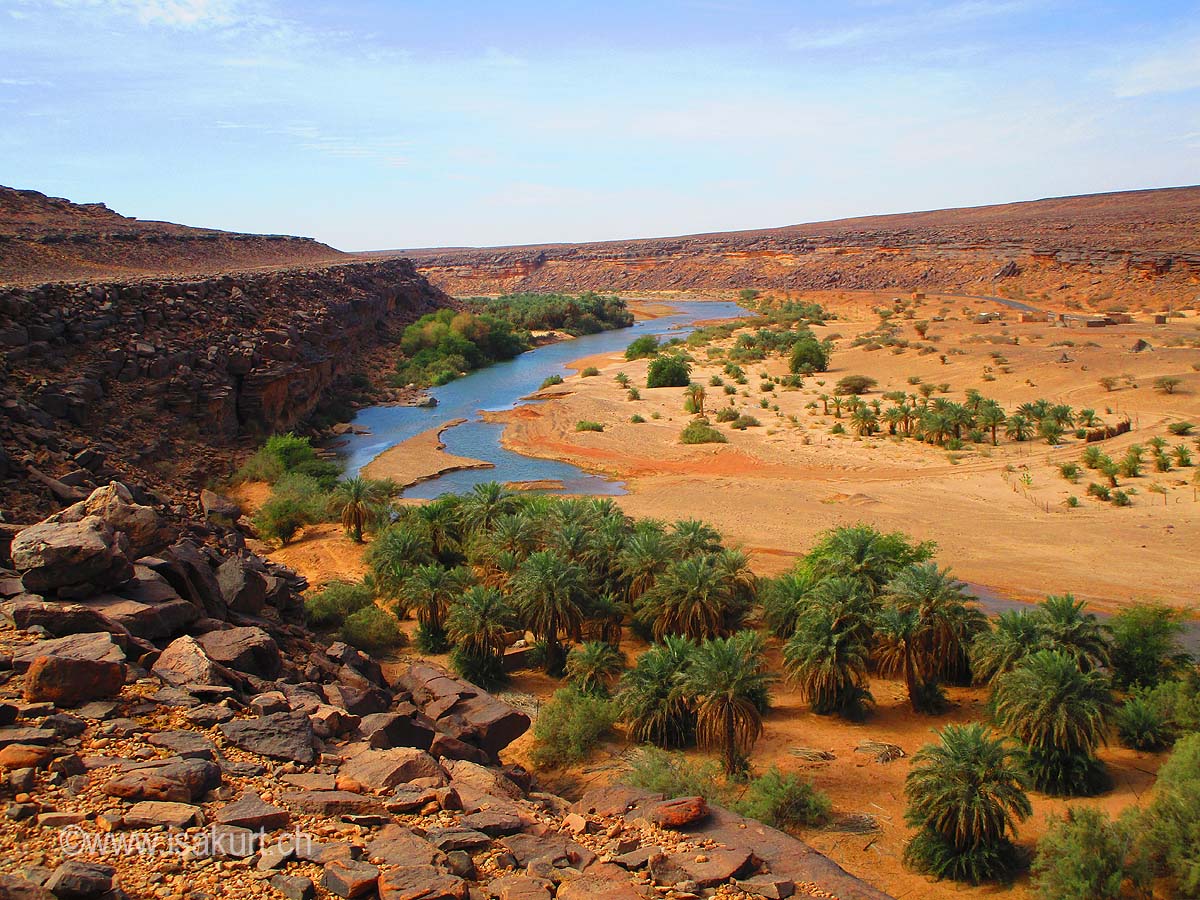 L’oasis de l'oued de Tidjikja à sauver