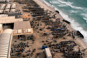 Reprise des activités de la pêche artisanale et côtière au niveau de la zone Nord