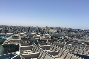 Les pêcheurs artisanaux toujours en grève