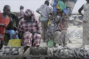 De grandes entreprises européennes complices de l’insécurité alimentaire en Afrique de l’Ouest