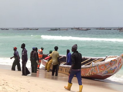 Vidéo. Nouakchott: «Les meilleurs poissons sont partis avec les pêcheurs sénégalais»