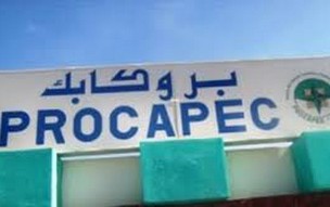 Vive critique contre la tutelle des PROCAPEC