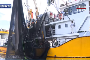 Mauritanie : un senneur de 40 mètres autorisé à pêcher aux portes du banc d’Arguin