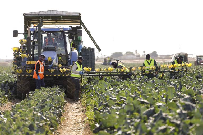 Ghazouani visite Murcie où proviennent 25 % de toutes les exportations espagnoles en légumes 